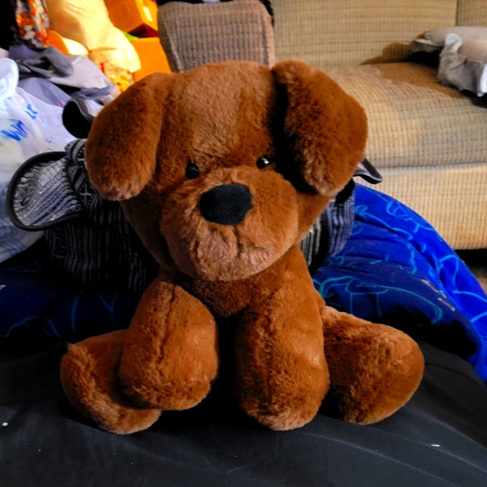 Dog stuffie